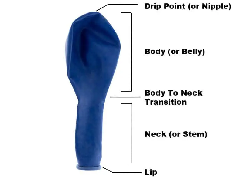 Anatomy Of A Balloon